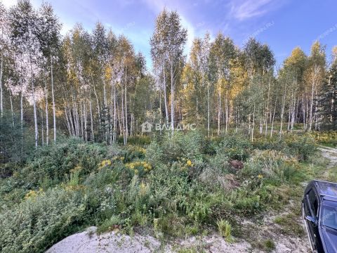 dom-derevnya-zabore-gorodskoy-okrug-bor фото