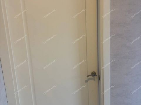 2-komnatnaya-b-r-yuzhnyy-d-1 фото