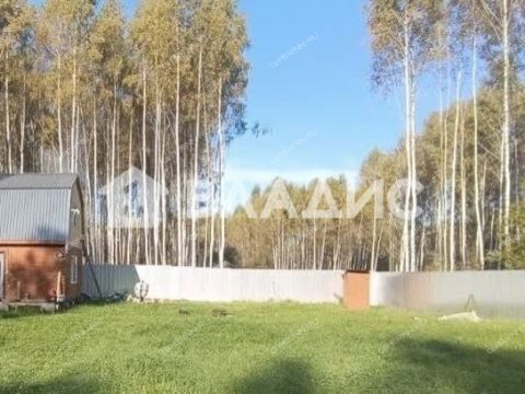 dacha-derevnya-berezovka-bogorodskiy-municipalnyy-okrug фото