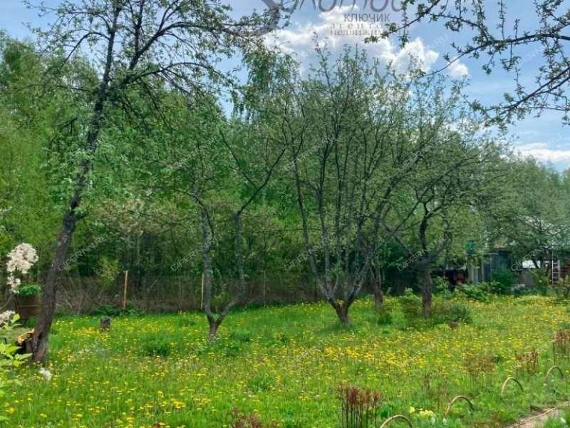 земельный участок 8 соток СНТ-16 ОАО ГАЗ деревня Новая Пунерь