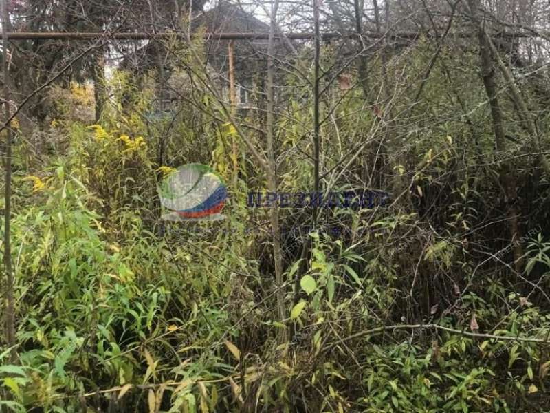 земельный участок 12 соток деревня Лапино деревня Лапино