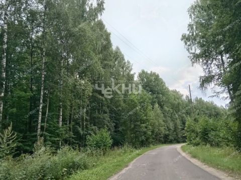 3-komnatnaya-derevnya-zubovo-gorodeckiy-rayon фото