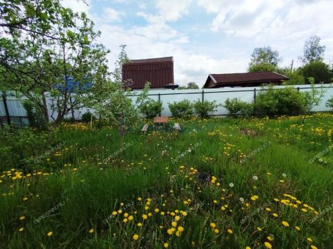 dacha-snt-nadezhda фото