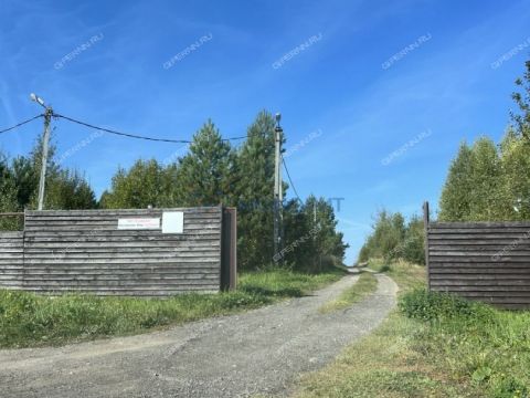 selo-arapovo-bogorodskiy-municipalnyy-okrug фото