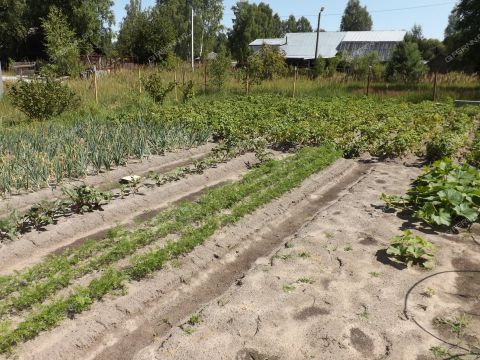 dom-poselok-vatomskiy-gorodskoy-okrug-bor фото