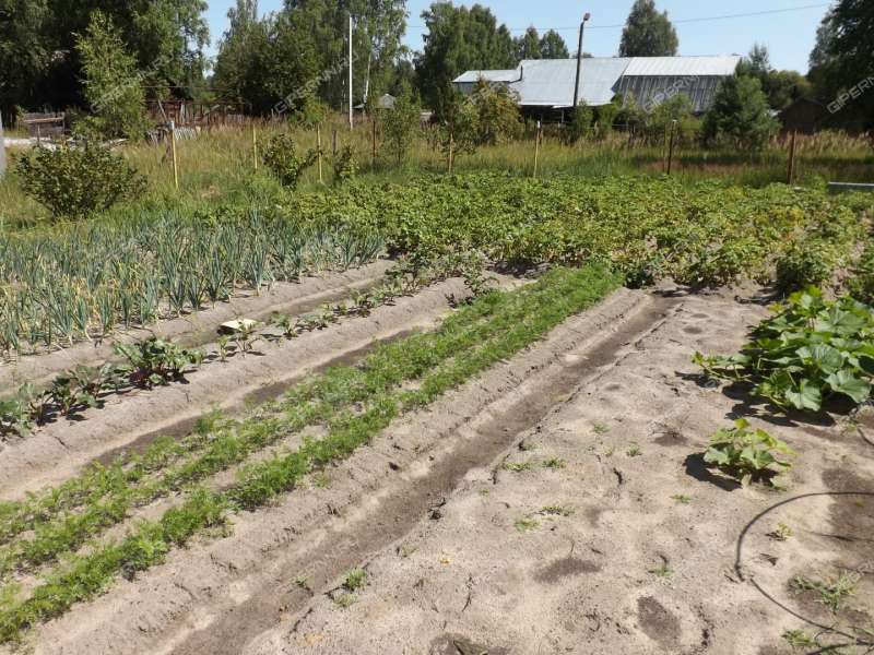 дом на Химлесхозовская посёлок Ватомский