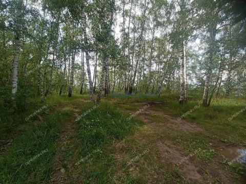 derevnya-zimenki-kstovskiy-rayon фото