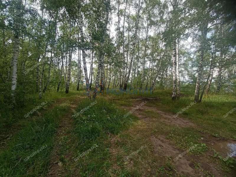 земельный участок 20 соток - деревня Зименки