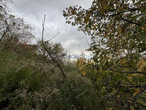 dacha-mehanizator-derevnya-ankudinovka-ter-snt-kstovskiy-rayon фото