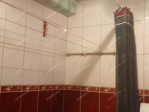 2-komnatnaya-derevnya-podlesovo-kstovskiy-rayon фото