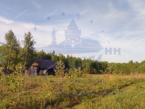 derevnya-mozgulino-gorodeckiy-rayon фото