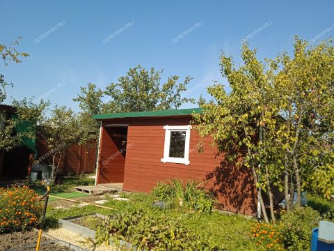 dacha-snt-nadezhda фото