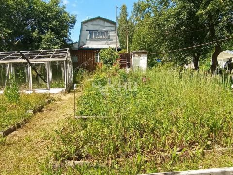 dacha-st-n12-yagodnoe-bogorodskiy-municipalnyy-okrug фото