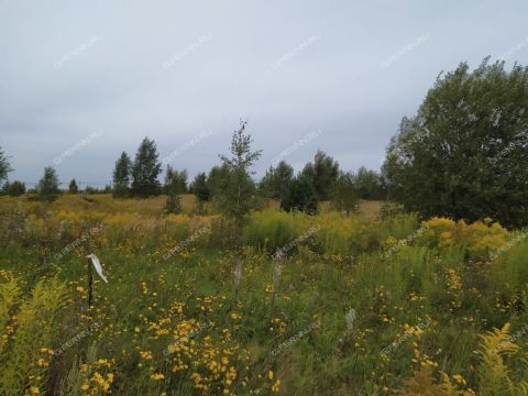 derevnya-kileley-bogorodskiy-municipalnyy-okrug фото