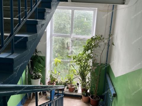 3-komnatnaya-ul-minina-d-5 фото