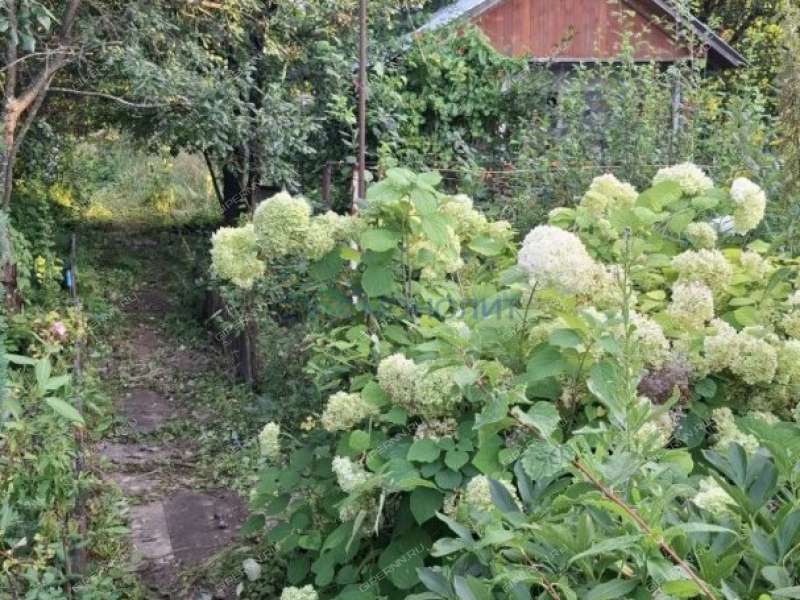 дом на Центральной улице деревня Хабарское