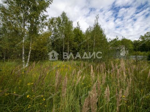 selo-spirino-bogorodskiy-municipalnyy-okrug фото