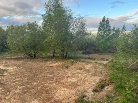 derevnya-afonino-kstovskiy-rayon фото