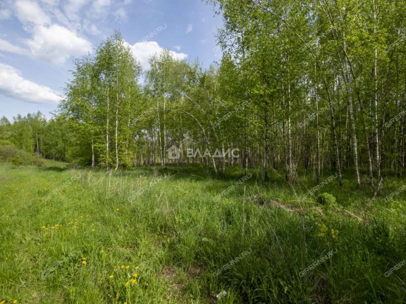 земельный участок 18 соток Овражная улица деревня Майдан