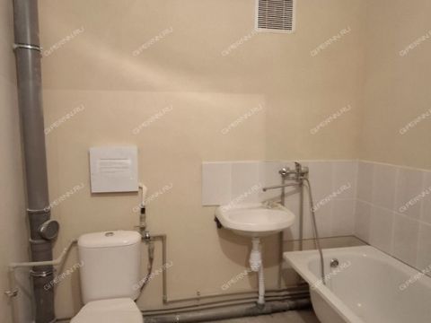 1-komnatnaya-selo-malaya-pica-dalnekonstantinovskiy-rayon фото