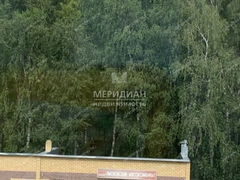 1-komnatnaya-gorod-bogorodsk-bogorodskiy-municipalnyy-okrug фото