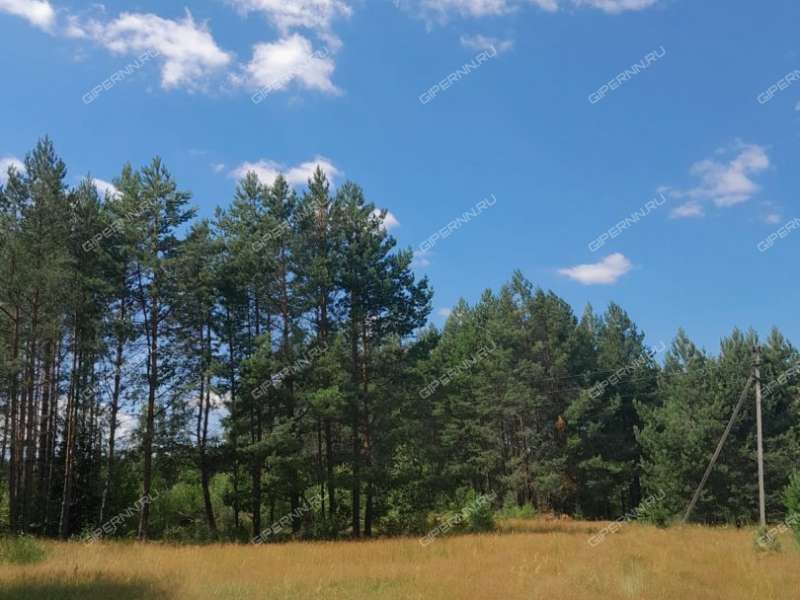 земельный участок под сельхоз назначение в Арзамасском районе Нижегородской области