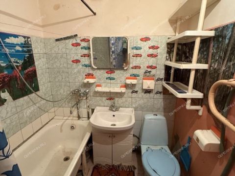 1-komnatnaya-gorod-zavolzhe-gorodeckiy-rayon фото