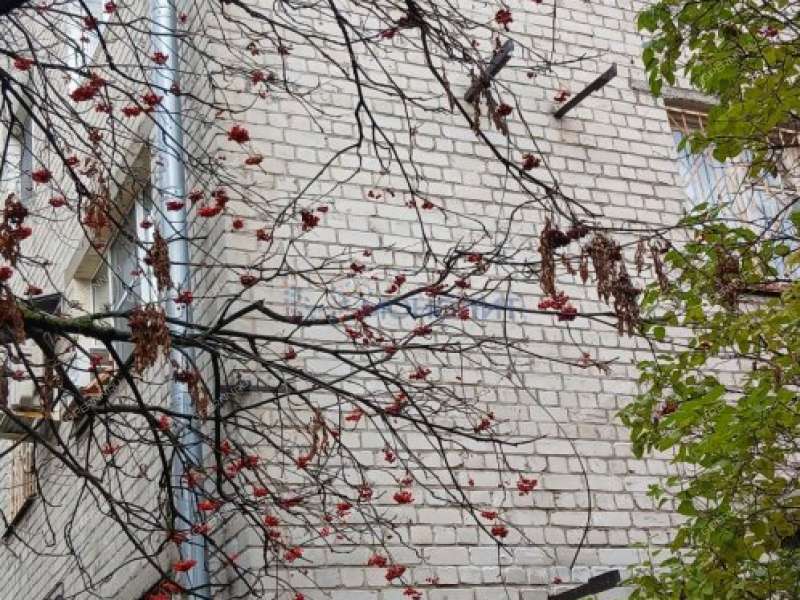 однокомнатная квартира на улице Ванеева дом 21