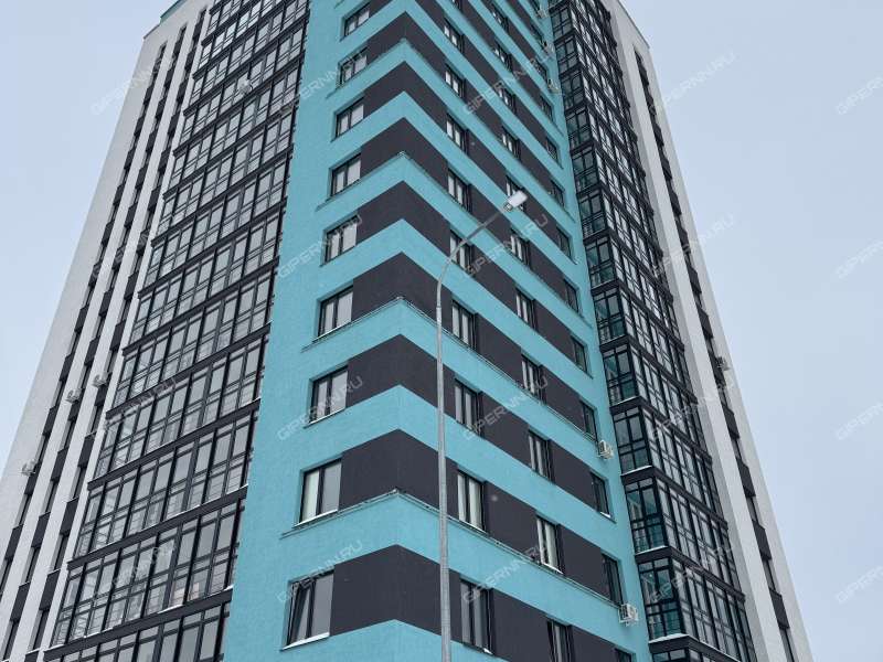 улица Журова, 15 фото