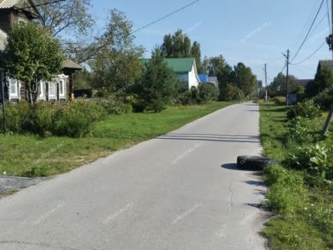 derevnya-ilinskoe-krasnoslobodskiy-selsovet-gorodskoy-okrug-bor фото