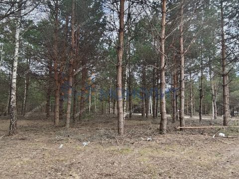 ivanovskoe-sloboda-gorodskoy-okrug-bor фото