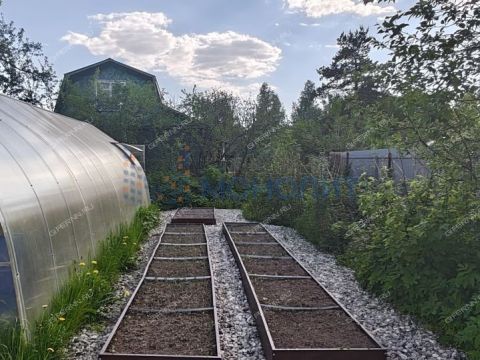 dacha-snt-druzhba-gorodskoy-okrug-bor фото