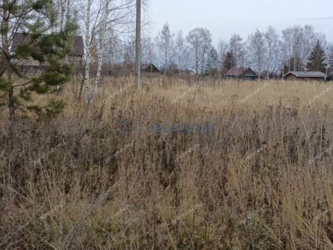 derevnya-polyany-bogorodskiy-municipalnyy-okrug фото