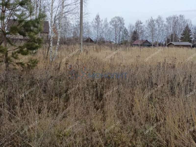 земельный участок 12 соток Полевая улица деревня Поляны