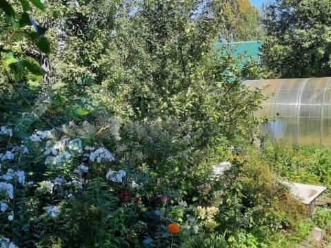 dacha-snt-urozhay-snt-urozhay фото