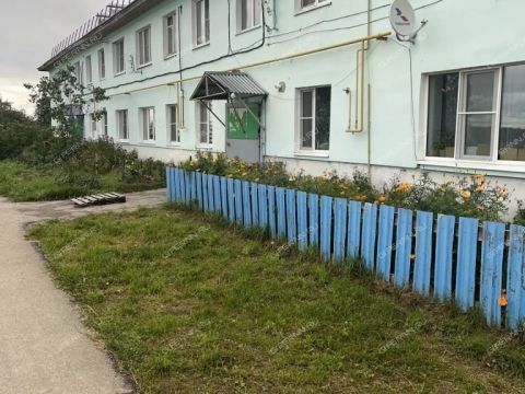 3-komnatnaya-selo-rumyancevo-dalnekonstantinovskiy-rayon фото